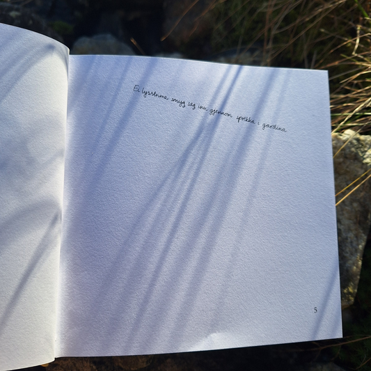 DIKTBOK | NÅR ALT RUNDT OSS SYNG