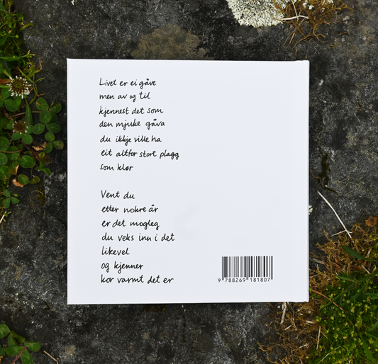 DIKTBOK | DET ER MYKJE MEIR PÅ INNSIDA