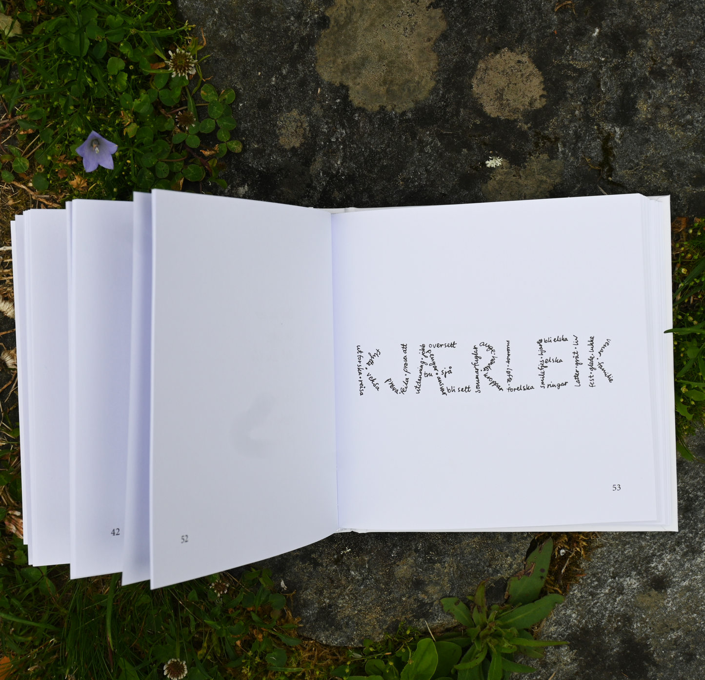 DIKTBOK | DET ER MYKJE MEIR PÅ INNSIDA