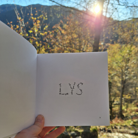 DIKTBOK | DET ER MYKJE MEIR PÅ INNSIDA