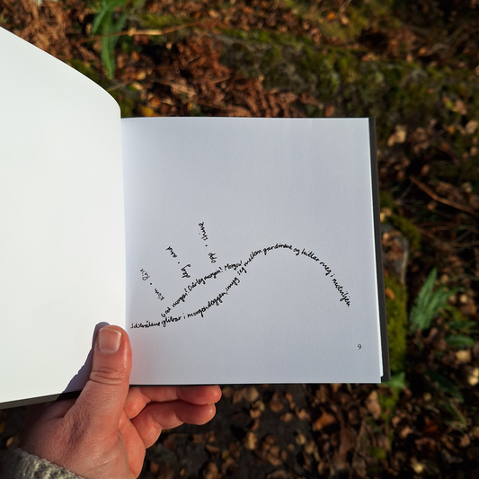 DIKTBOK | DET KAN FAKTISK GÅ BRA