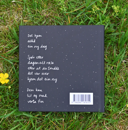 DIKTBOK | DET KAN FAKTISK GÅ BRA