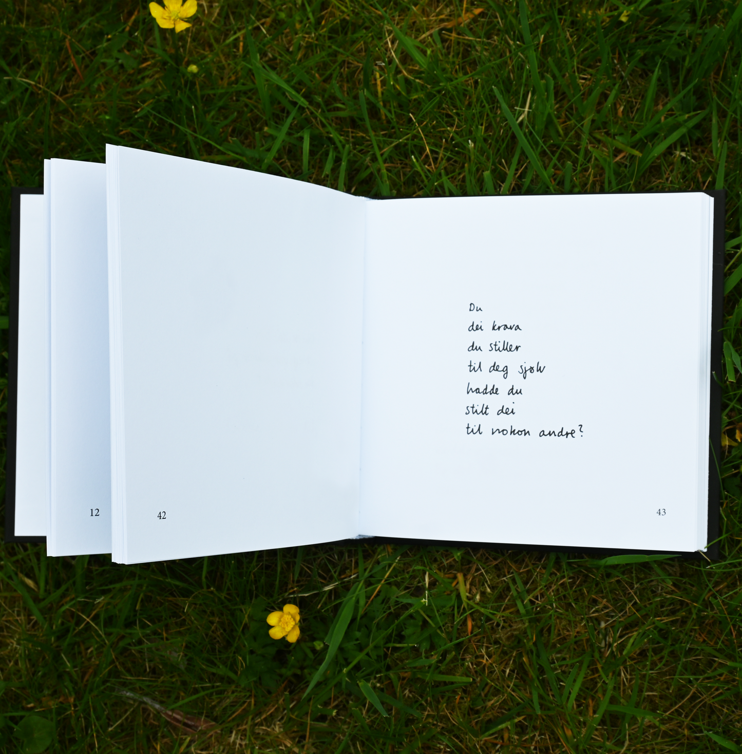 DIKTBOK | DET KAN FAKTISK GÅ BRA