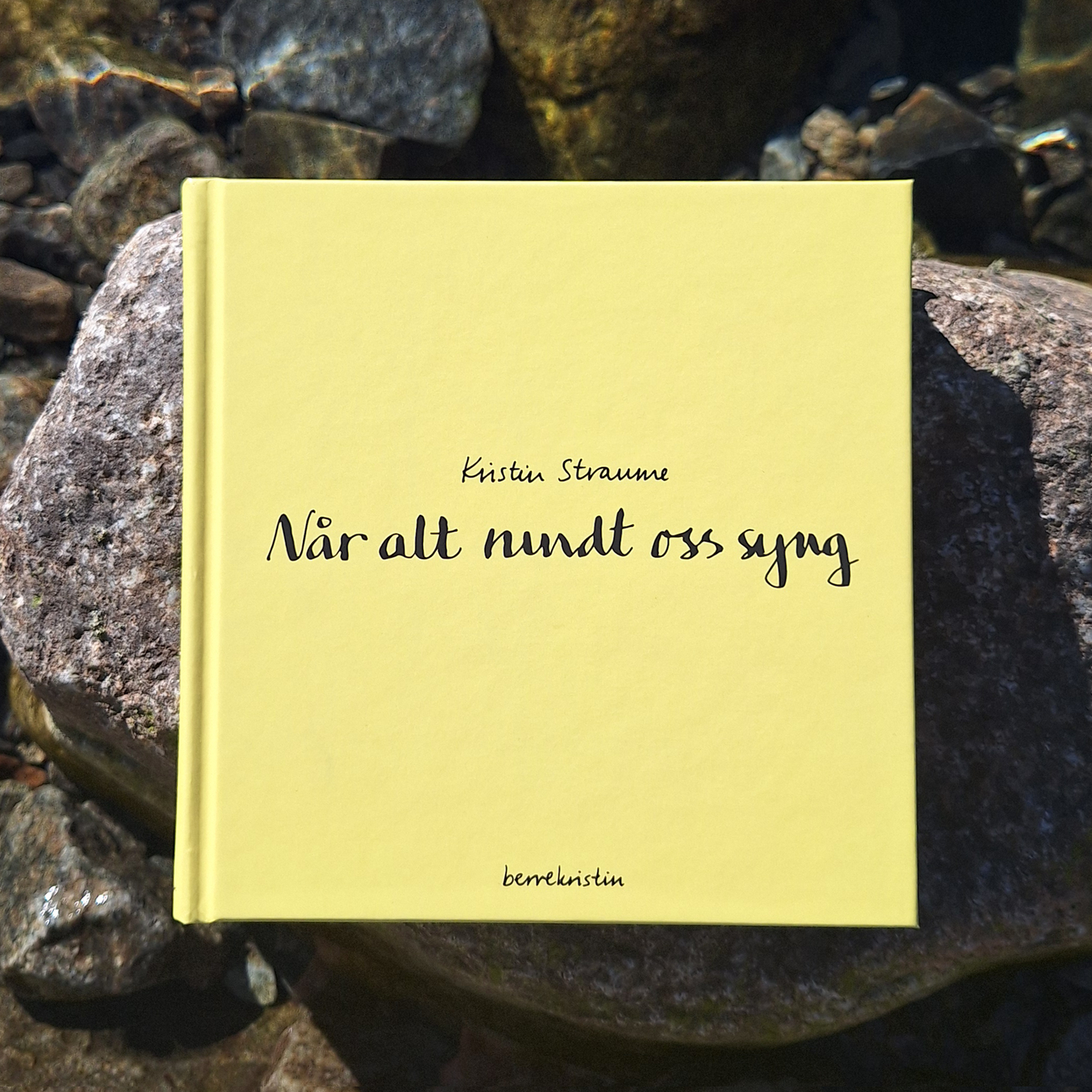 DIKTBOK | NÅR ALT RUNDT OSS SYNG