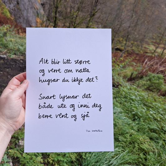 PLAKAT A4 | ALT BLIR LITT STØRRE