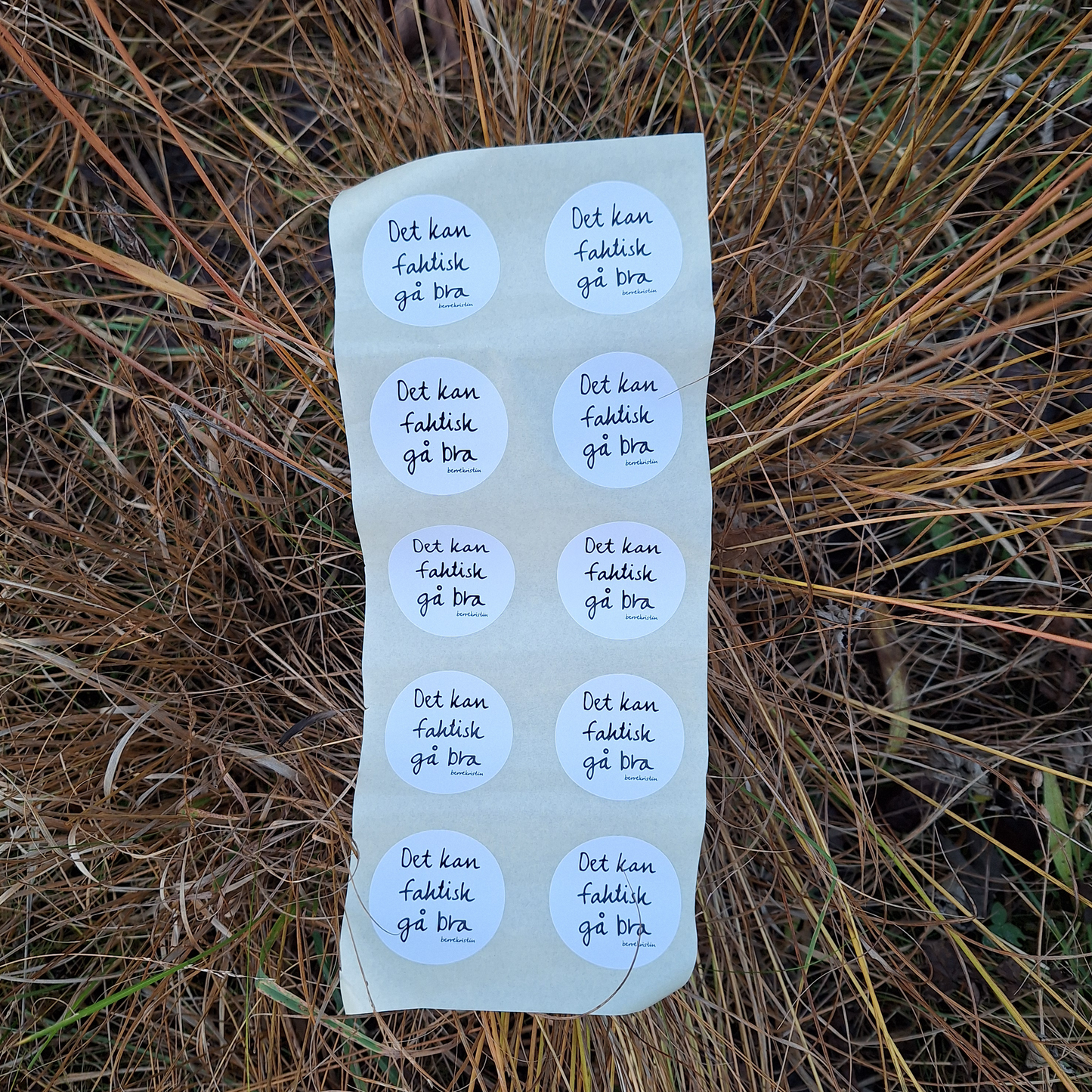 KLISTREMERKER MED DIKT | DET KAN FAKTISK
