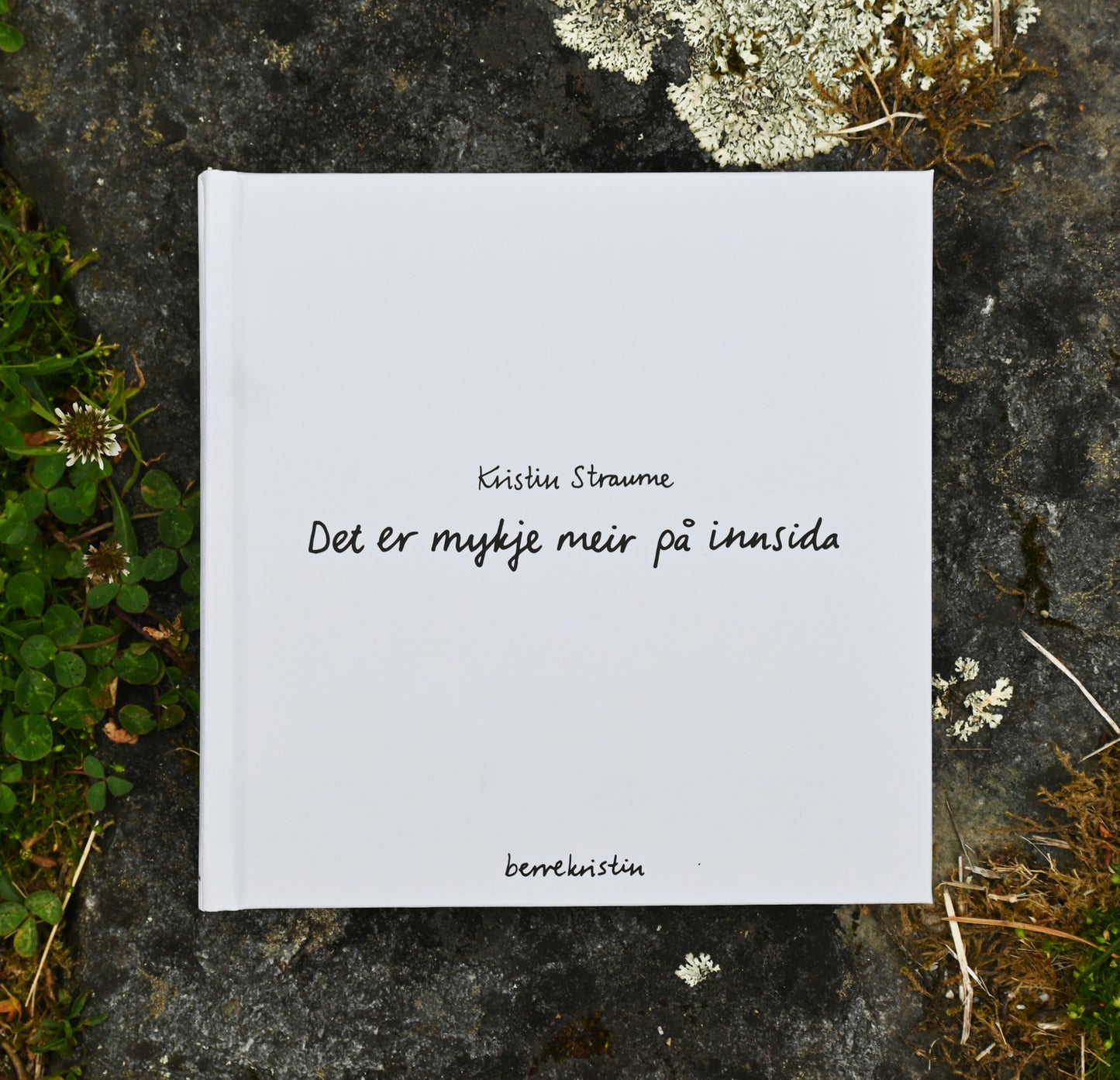 DIKTBOK | DET ER MYKJE MEIR PÅ INNSIDA