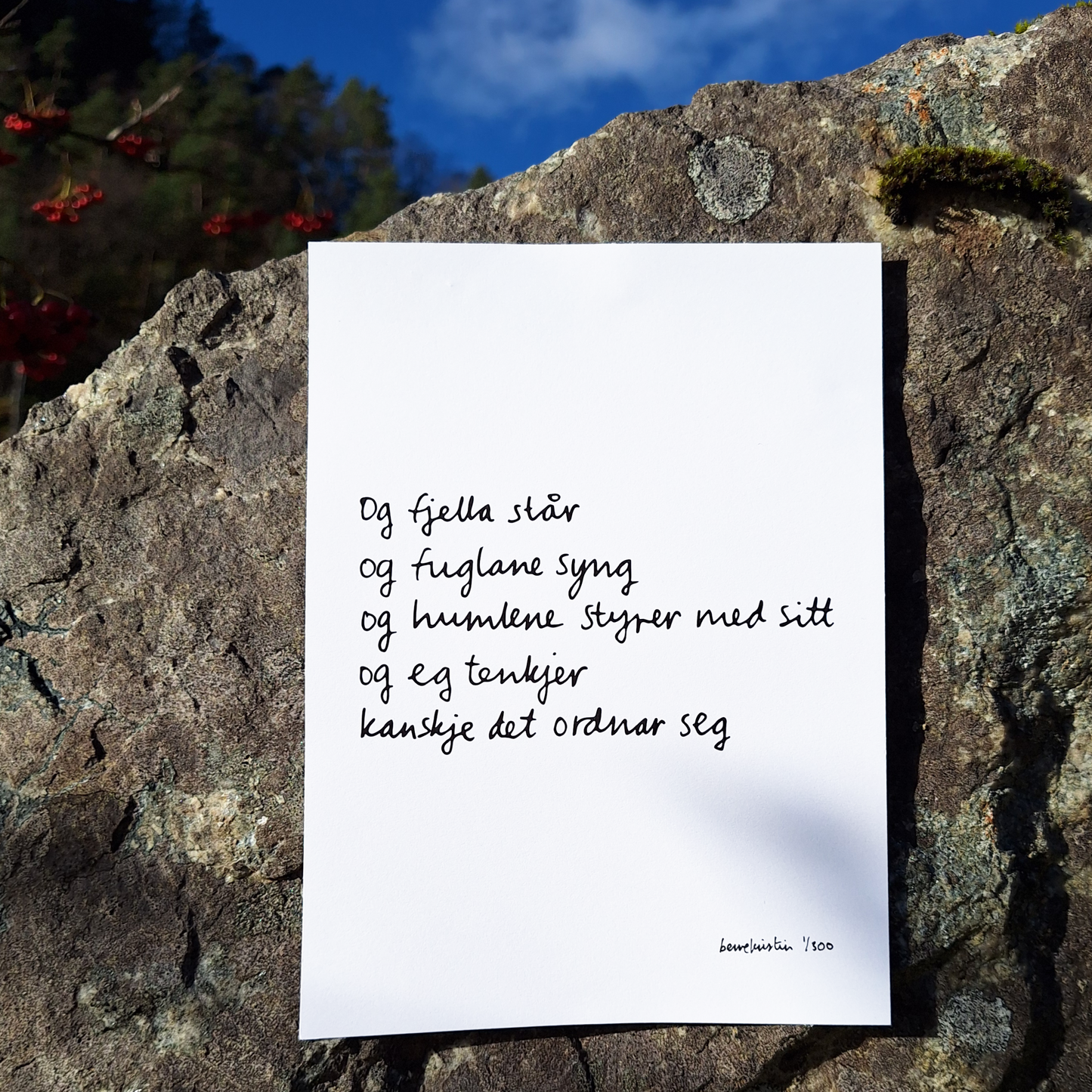 PLAKAT A5 | OG FJELLA STÅR