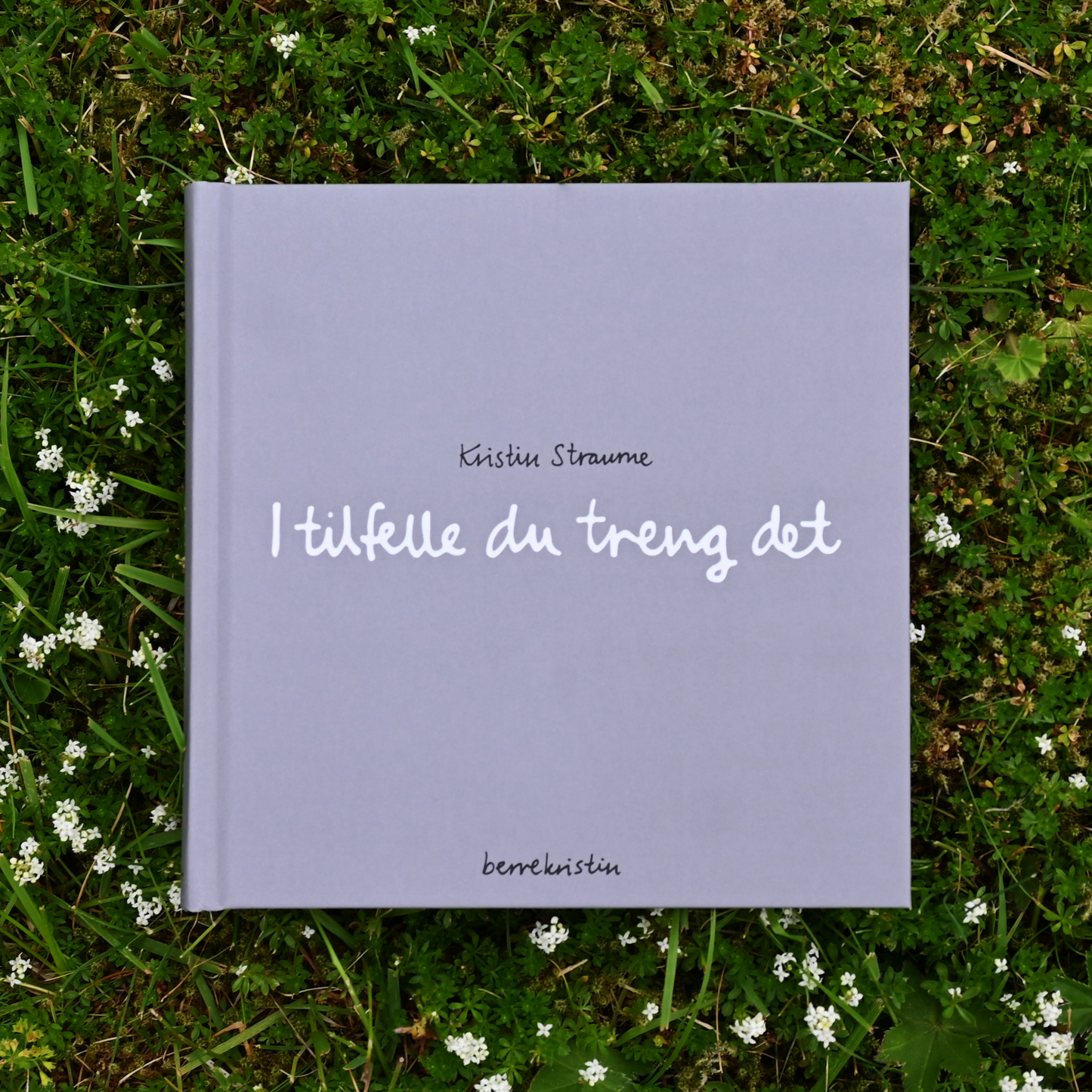 DIKTBOK | I TILFELLE DU TRENG DET