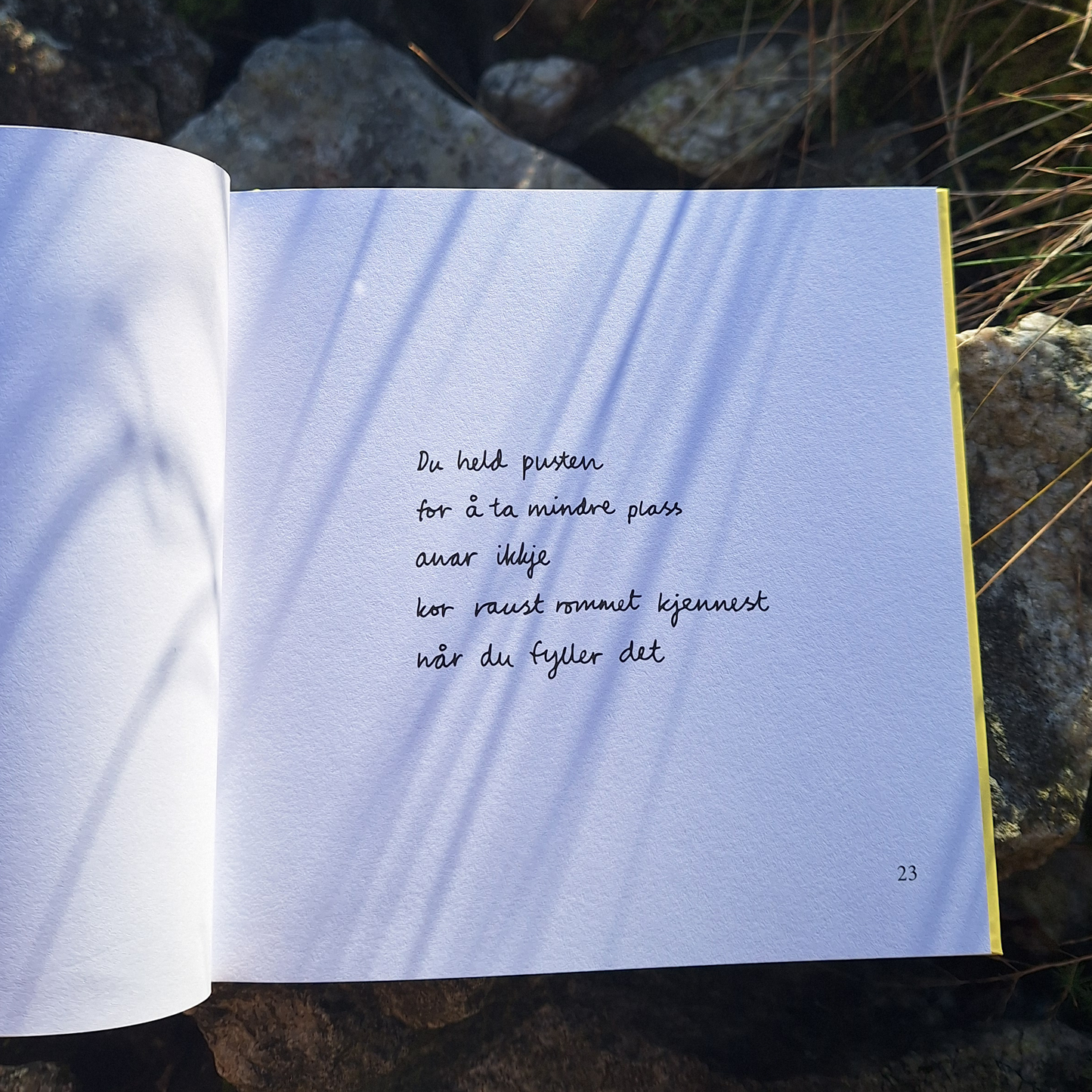 DIKTBOK | NÅR ALT RUNDT OSS SYNG