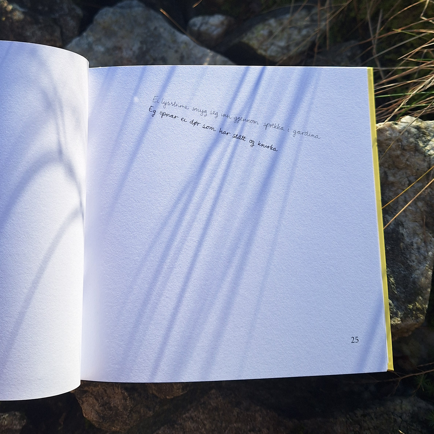 DIKTBOK | NÅR ALT RUNDT OSS SYNG