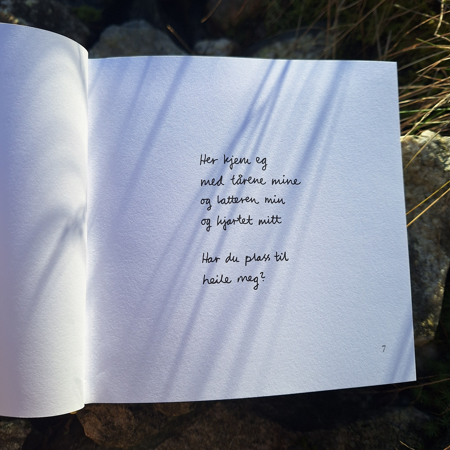 DIKTBOK | NÅR ALT RUNDT OSS SYNG