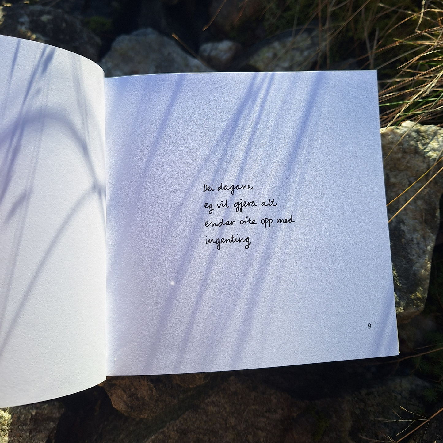 DIKTBOK | NÅR ALT RUNDT OSS SYNG