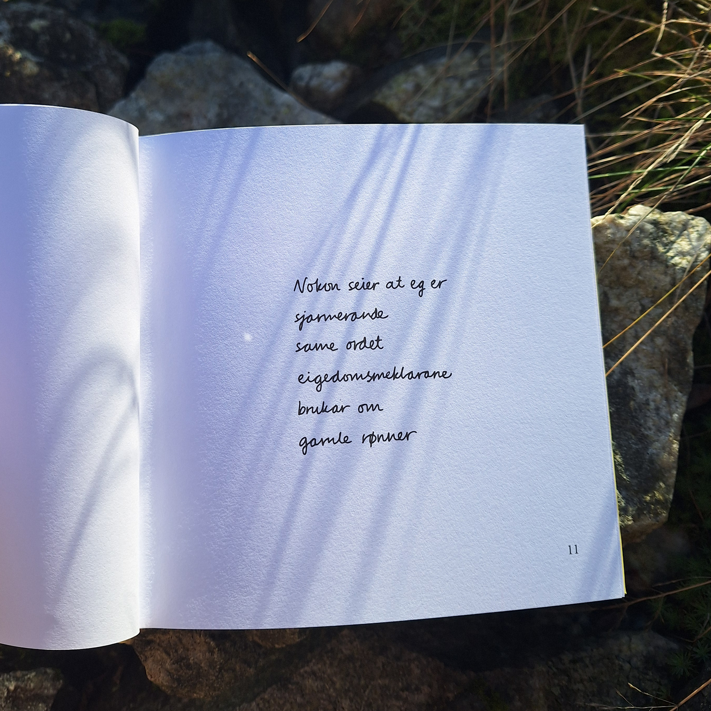 DIKTBOK | NÅR ALT RUNDT OSS SYNG