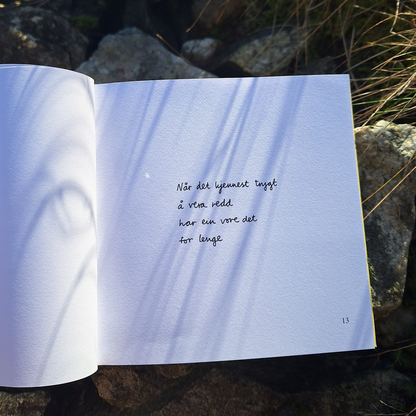 DIKTBOK | NÅR ALT RUNDT OSS SYNG