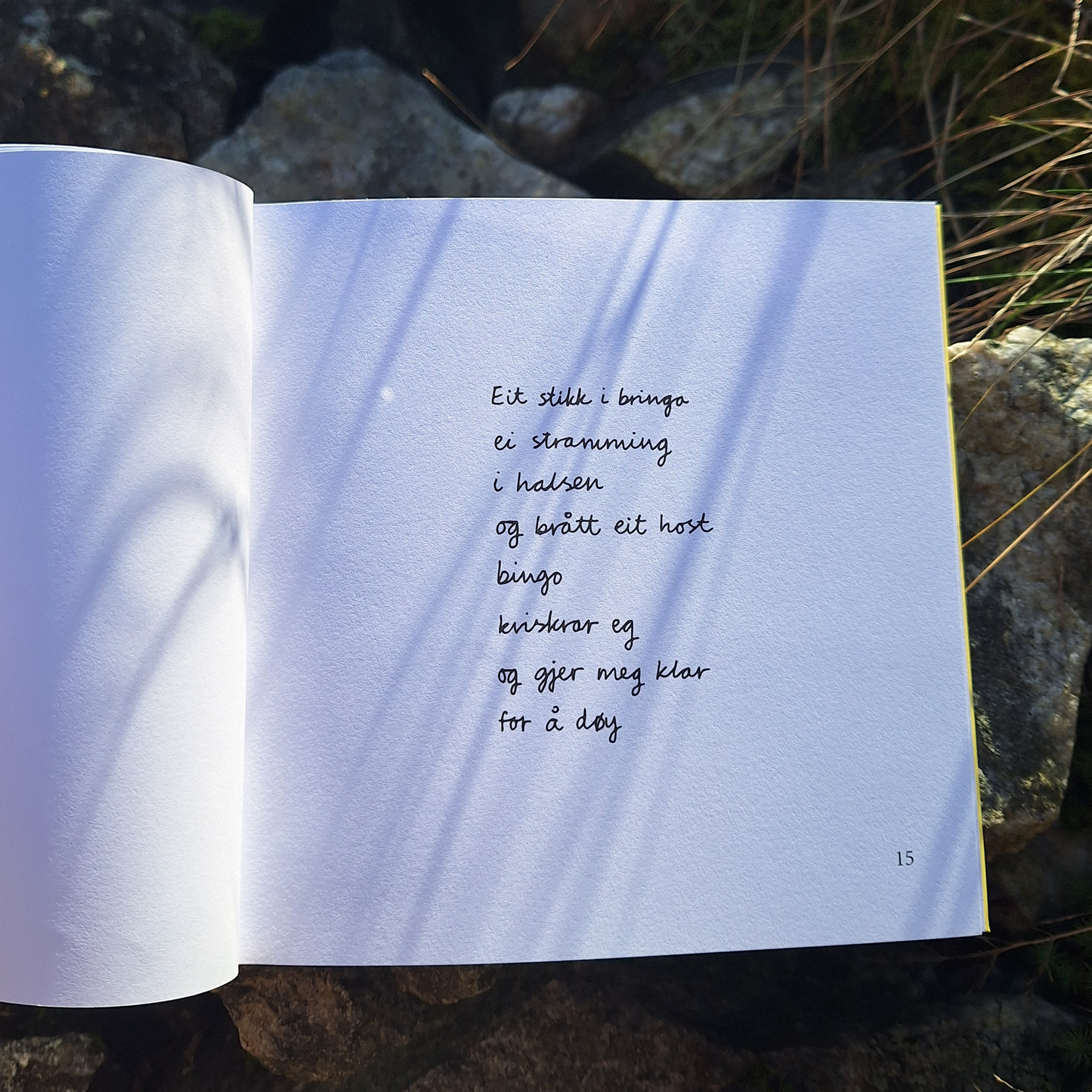 DIKTBOK | NÅR ALT RUNDT OSS SYNG