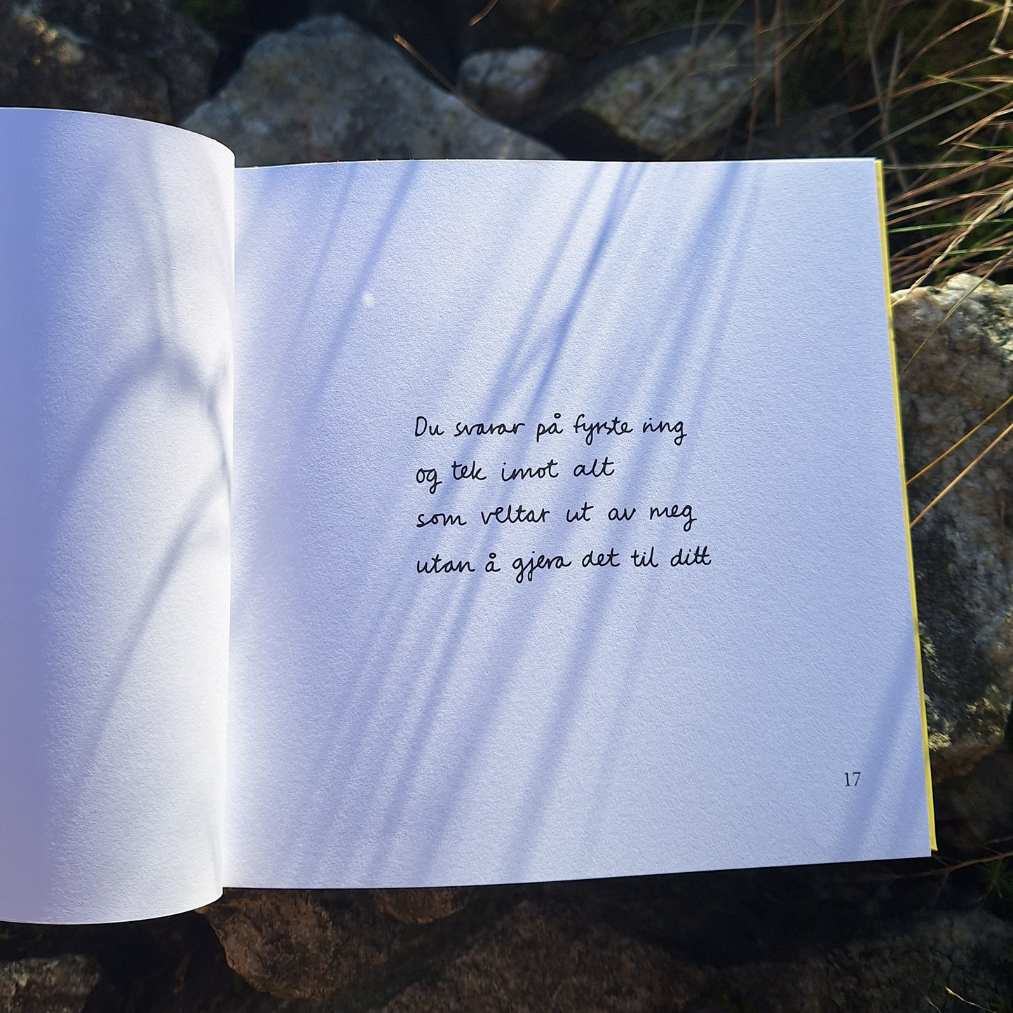 DIKTBOK | NÅR ALT RUNDT OSS SYNG