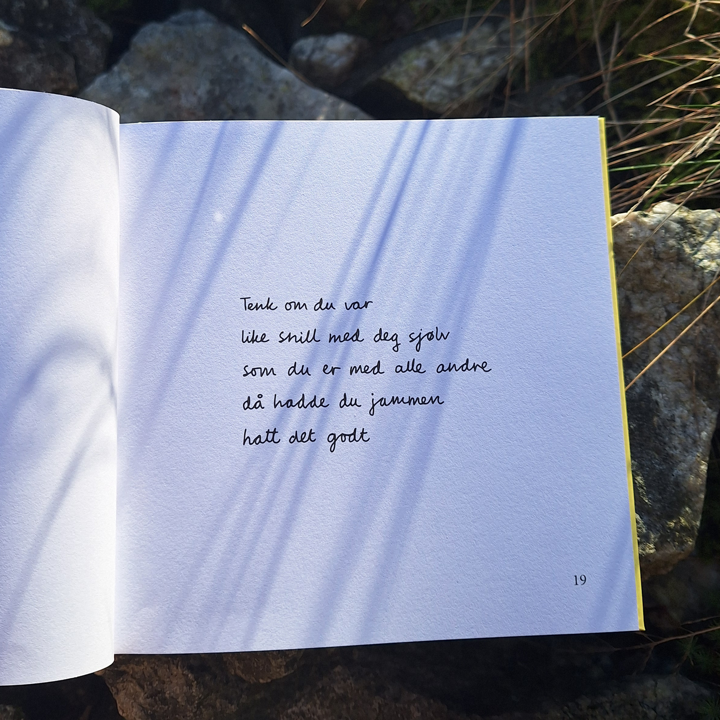 DIKTBOK | NÅR ALT RUNDT OSS SYNG