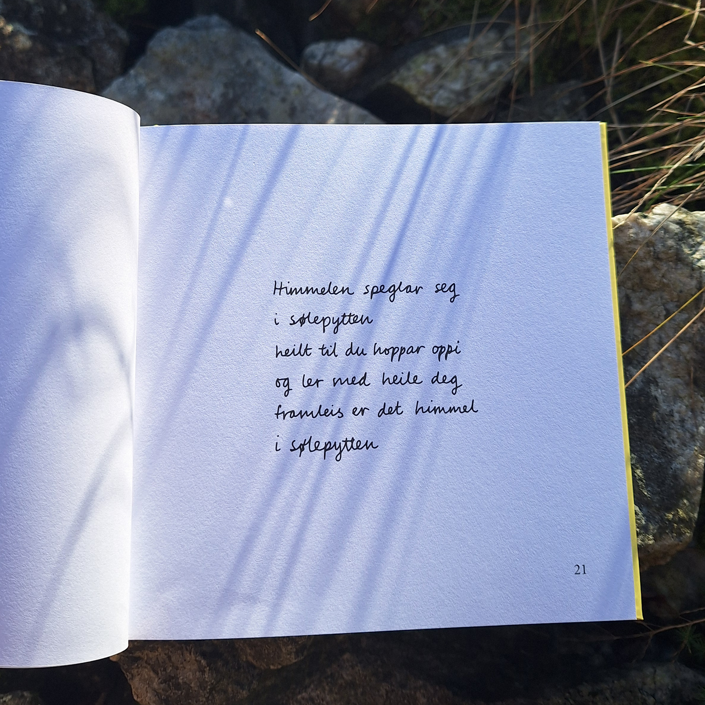 DIKTBOK | NÅR ALT RUNDT OSS SYNG