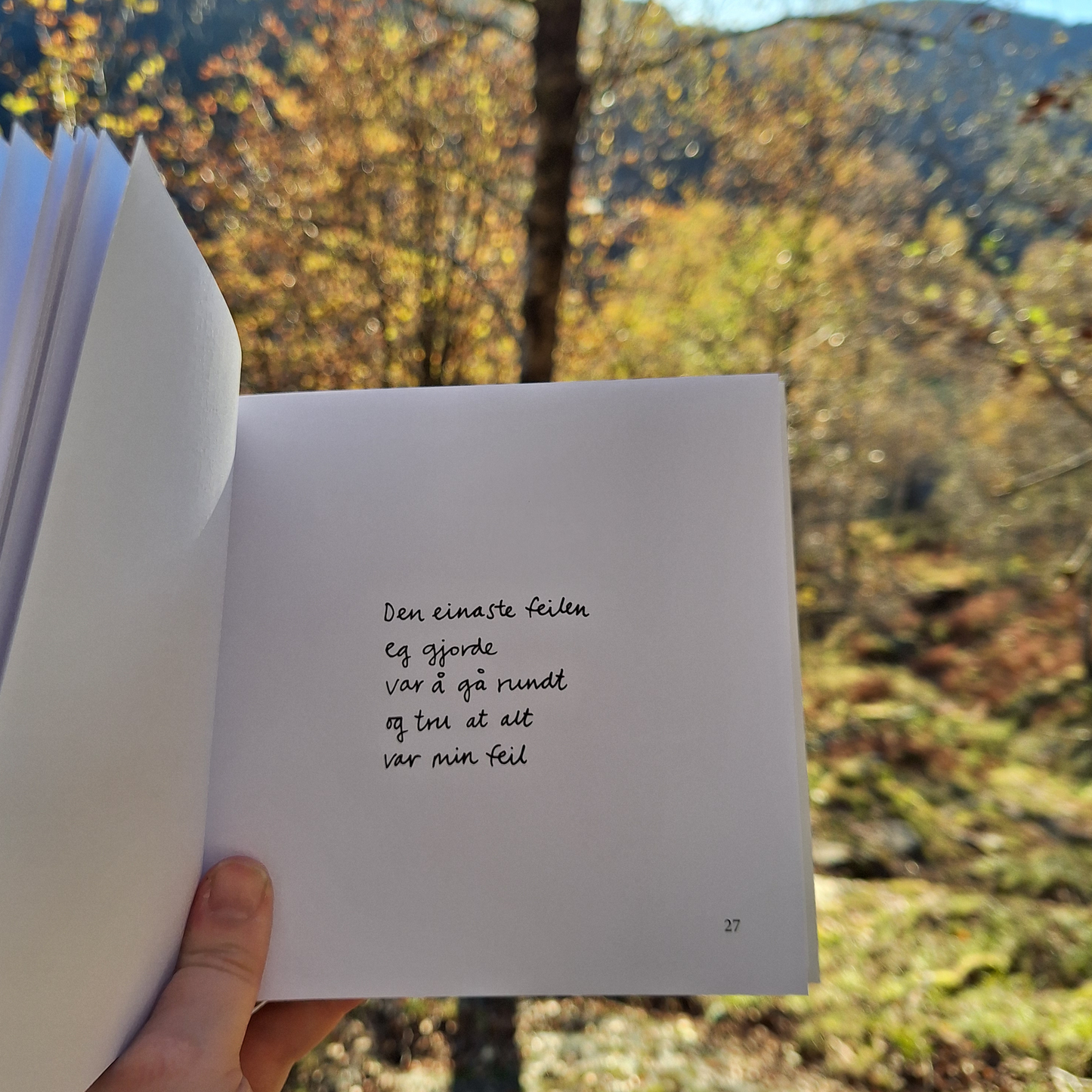 DIKTBOK | DET ER MYKJE MEIR PÅ INNSIDA