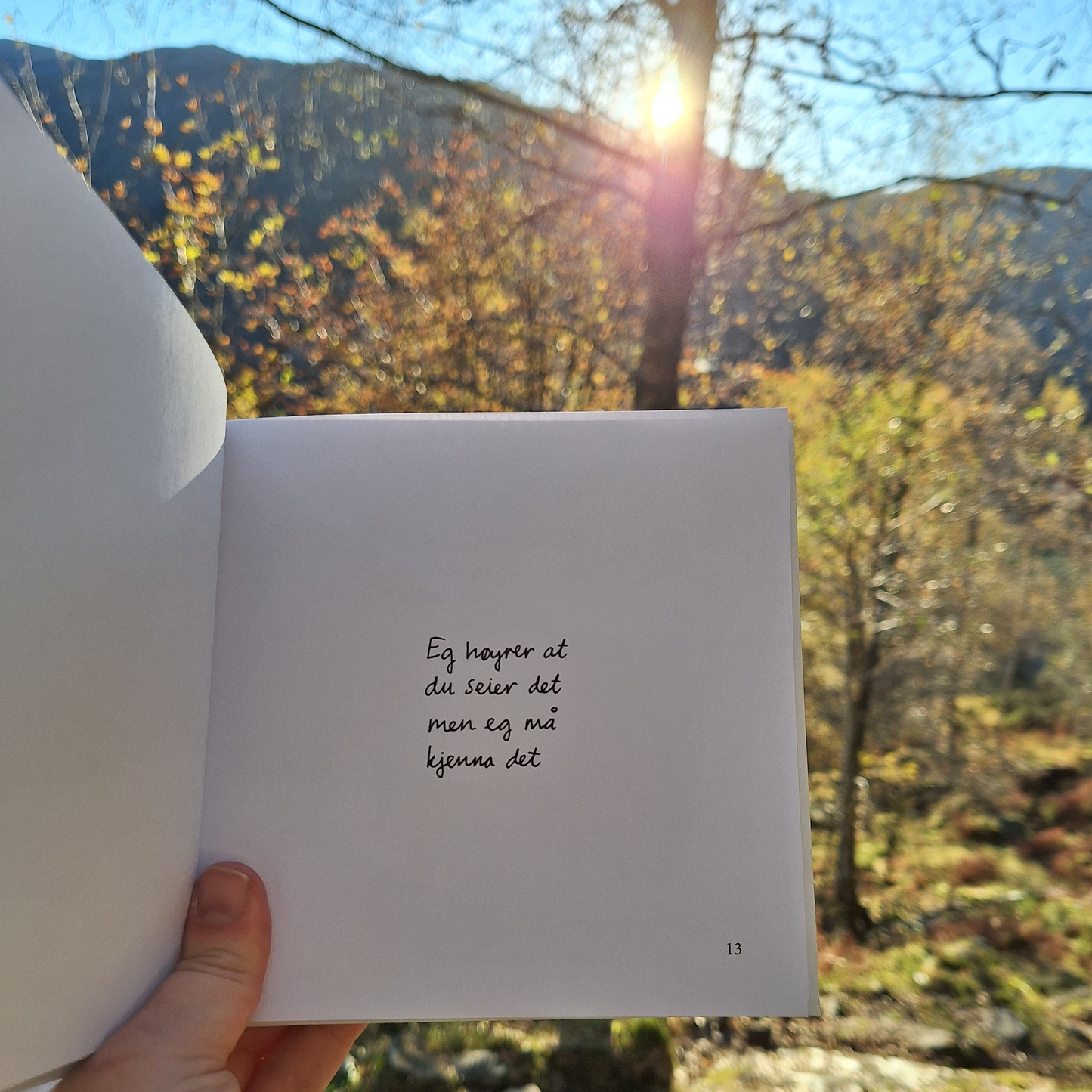 DIKTBOK | DET ER MYKJE MEIR PÅ INNSIDA