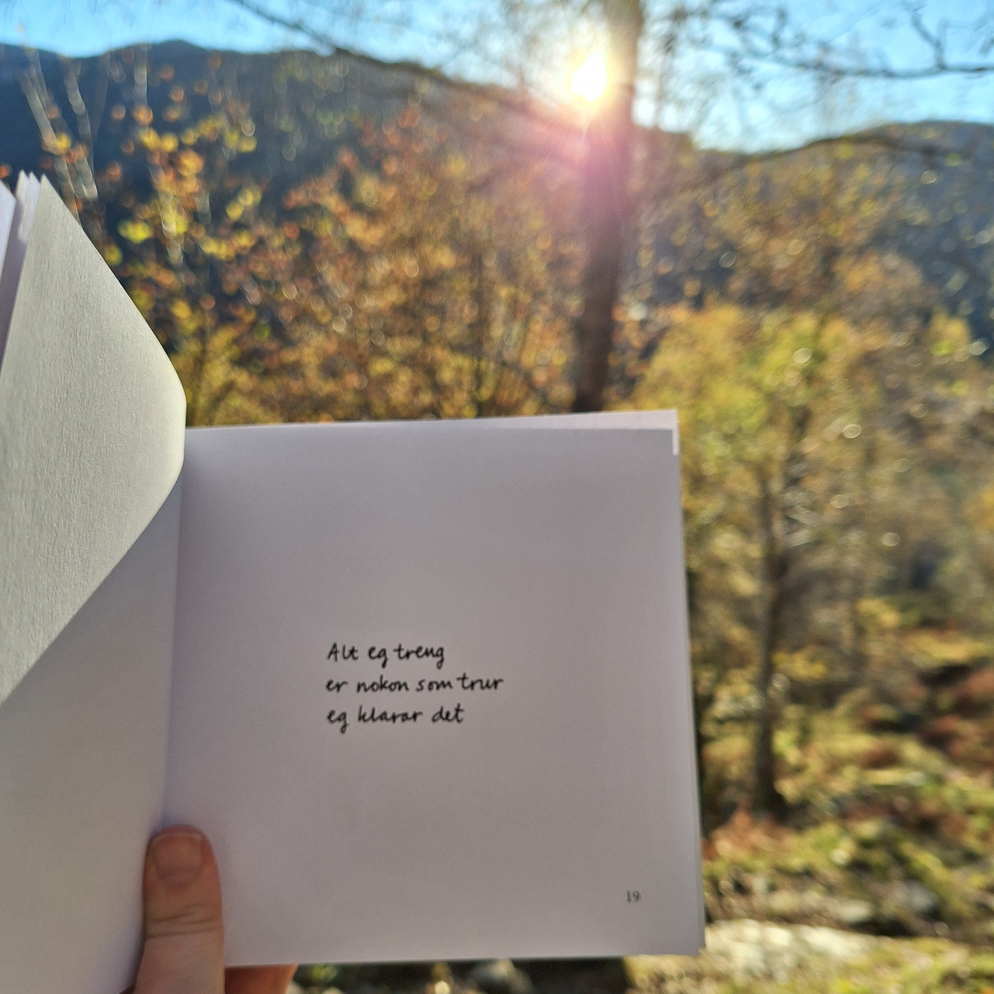 DIKTBOK | DET ER MYKJE MEIR PÅ INNSIDA