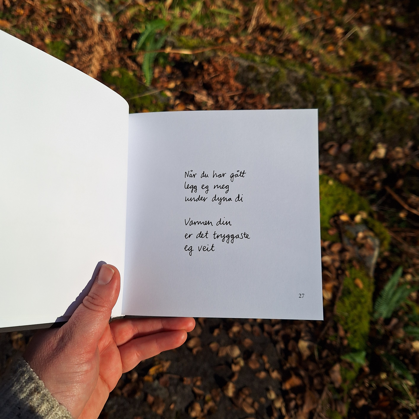 DIKTBOK | DET KAN FAKTISK GÅ BRA