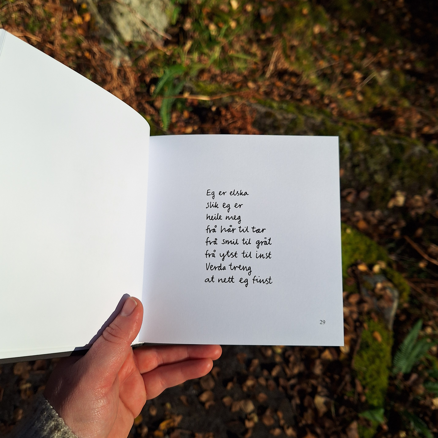 DIKTBOK | DET KAN FAKTISK GÅ BRA