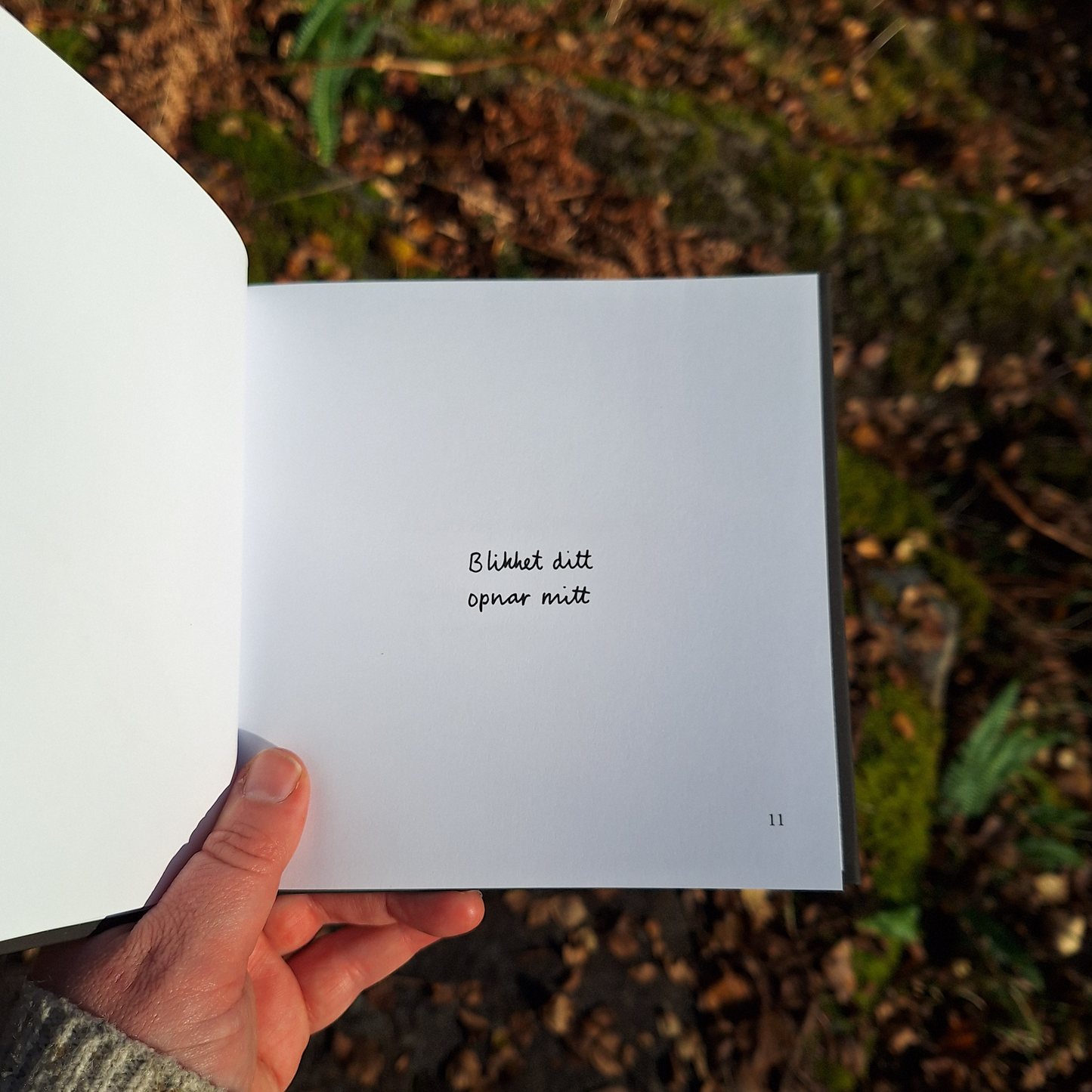 DIKTBOK | DET KAN FAKTISK GÅ BRA