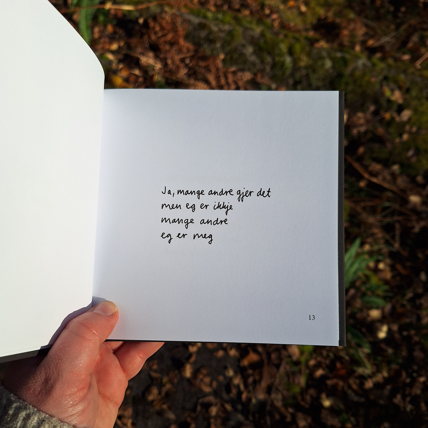 DIKTBOK | DET KAN FAKTISK GÅ BRA