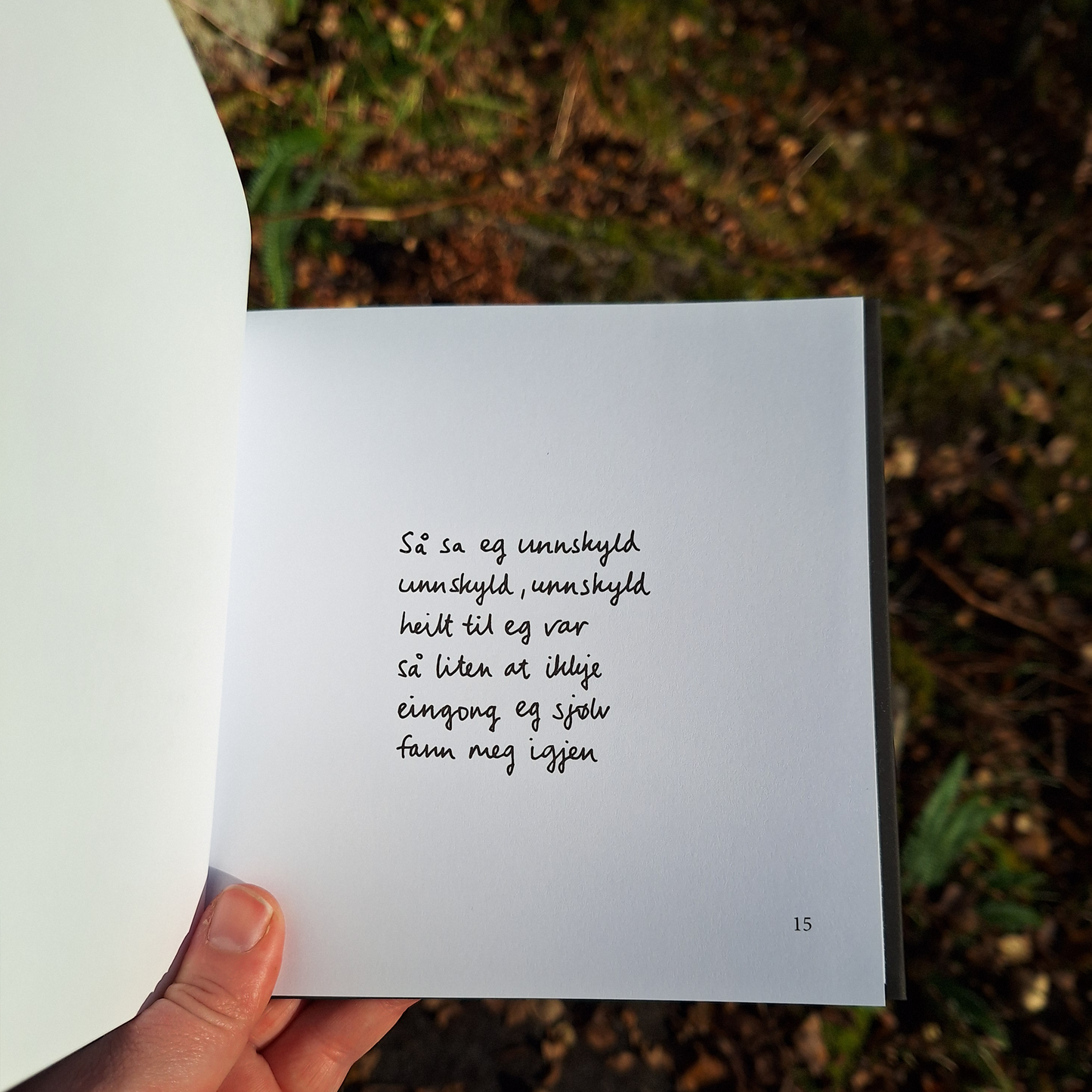 DIKTBOK | DET KAN FAKTISK GÅ BRA