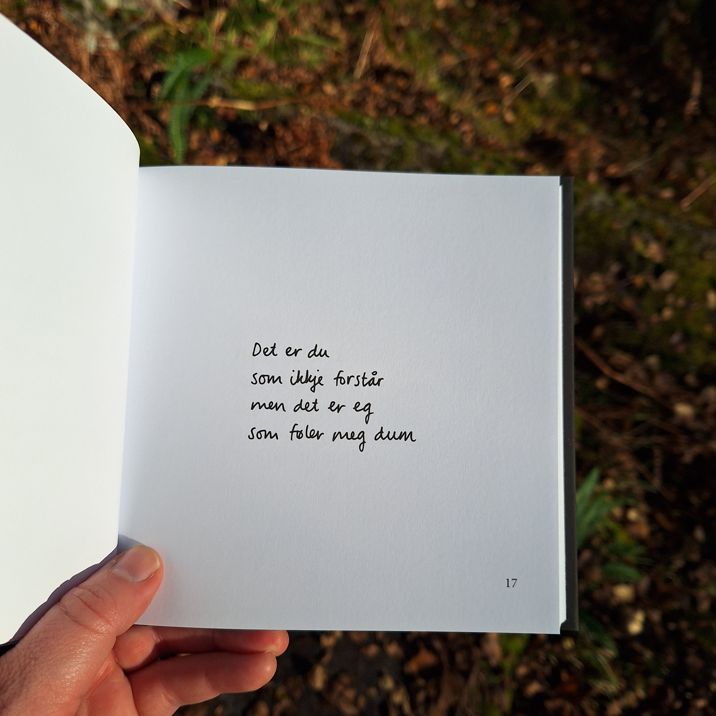 DIKTBOK | DET KAN FAKTISK GÅ BRA