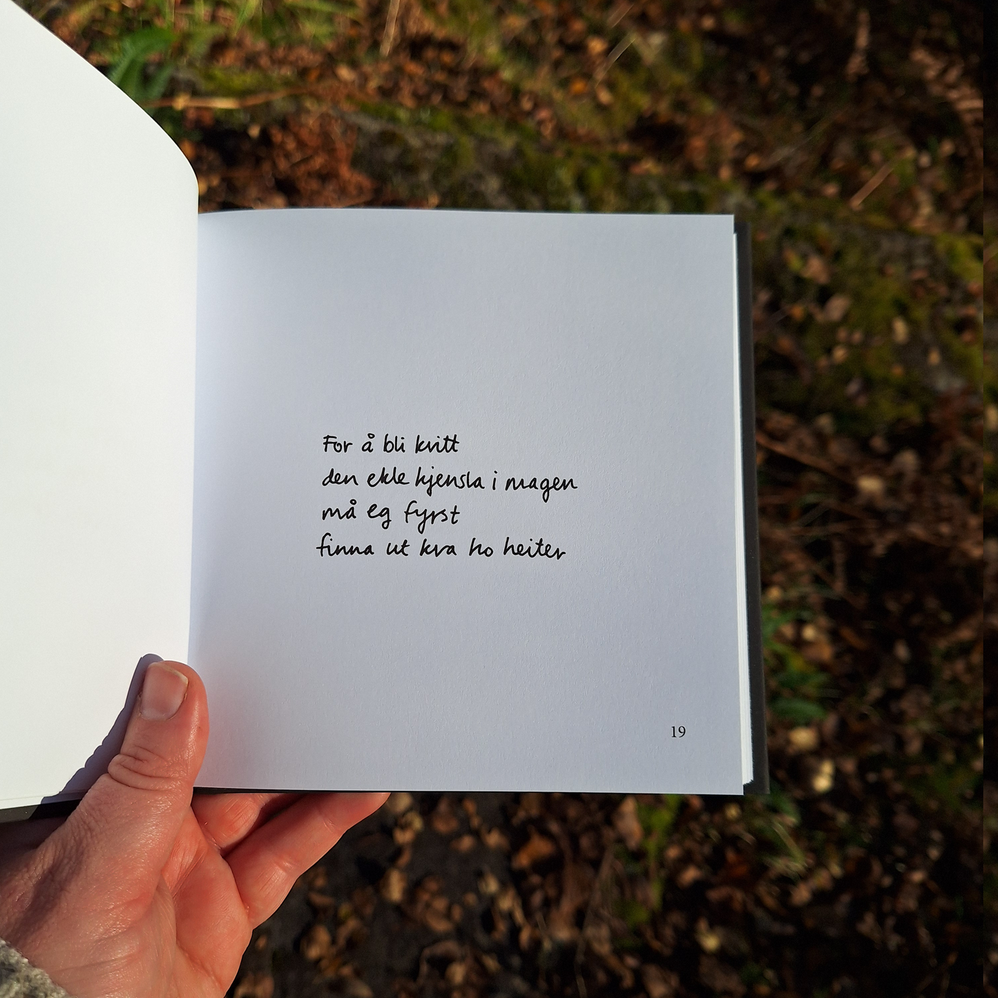 DIKTBOK | DET KAN FAKTISK GÅ BRA