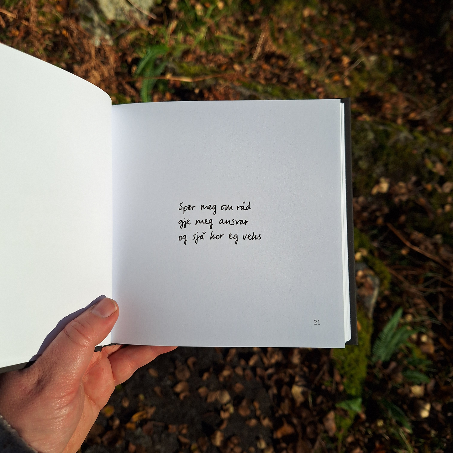 DIKTBOK | DET KAN FAKTISK GÅ BRA