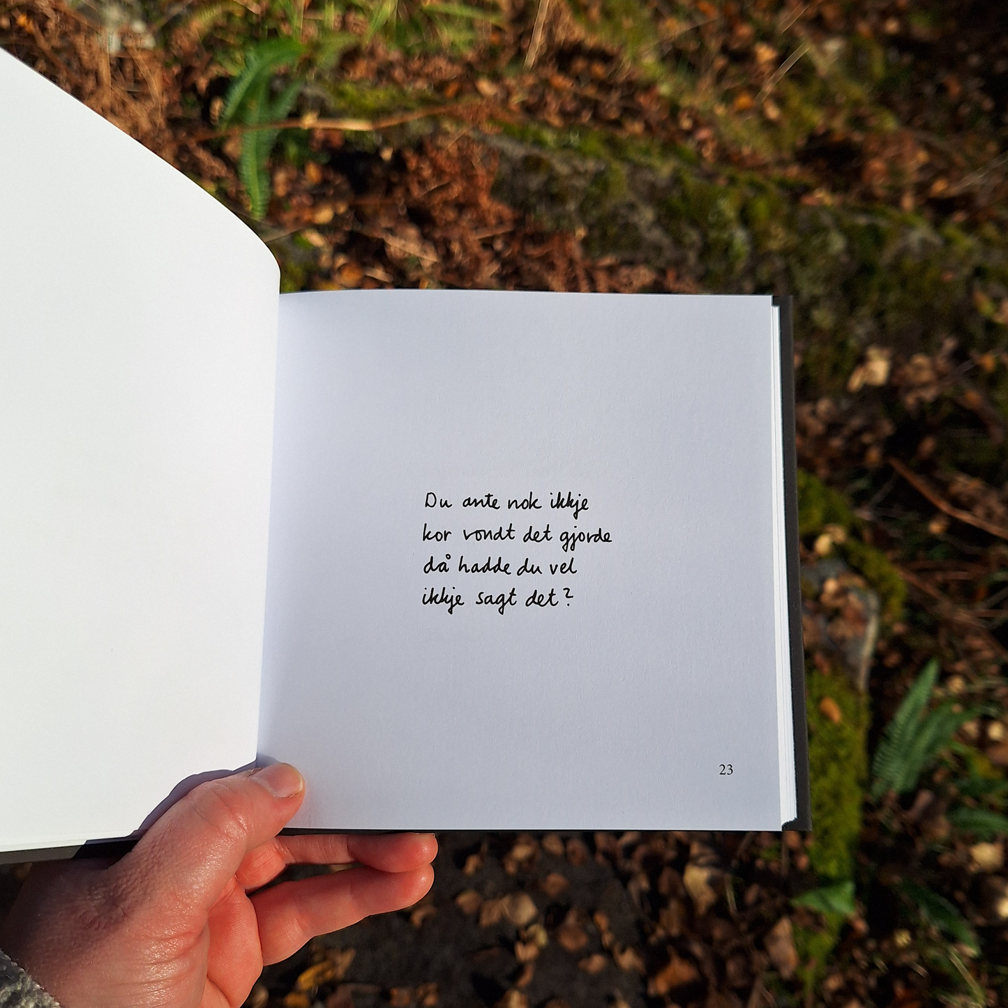 DIKTBOK | DET KAN FAKTISK GÅ BRA