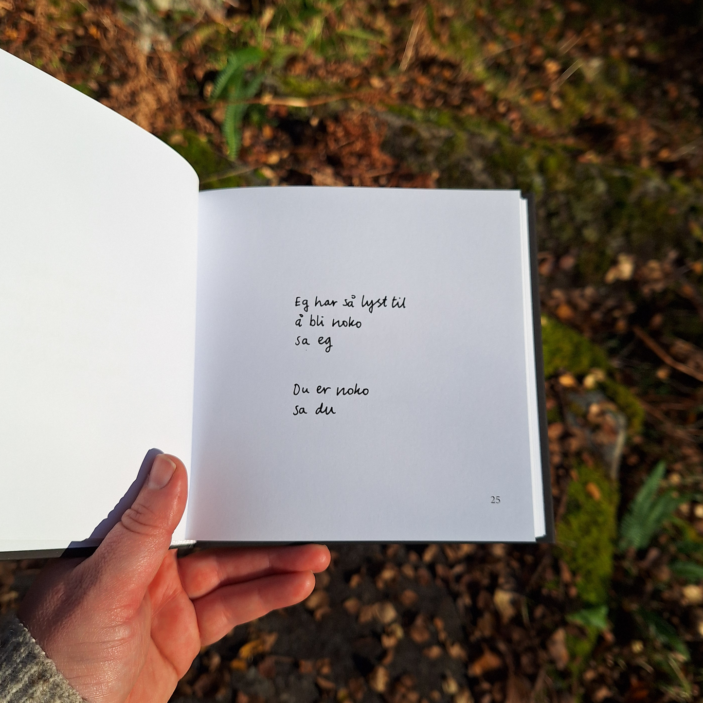 DIKTBOK | DET KAN FAKTISK GÅ BRA