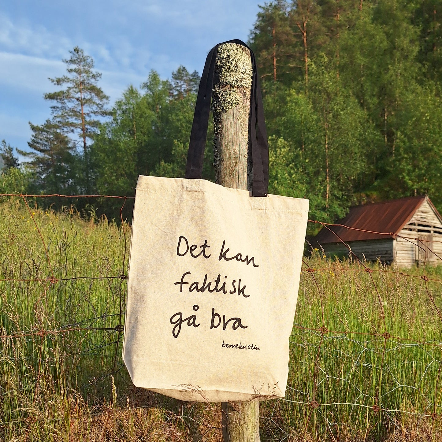 HANDLENETT MED DIKT | DET KAN FAKTISK GÅ BRA
