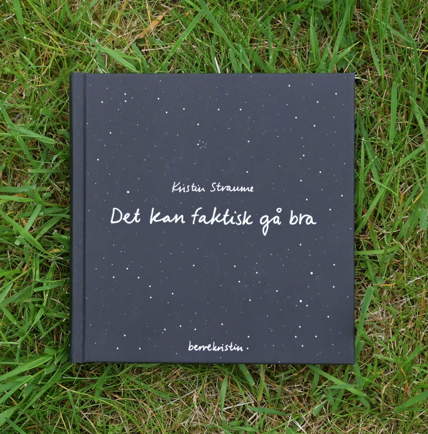 DIKTBOK | DET KAN FAKTISK GÅ BRA