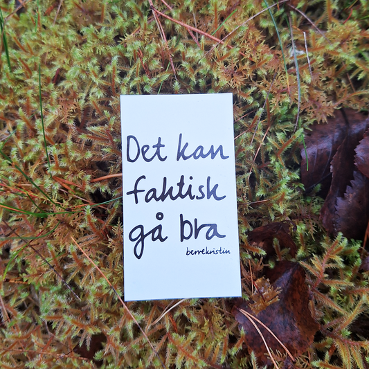 DIKTMAGNET | DET KAN FAKTISK