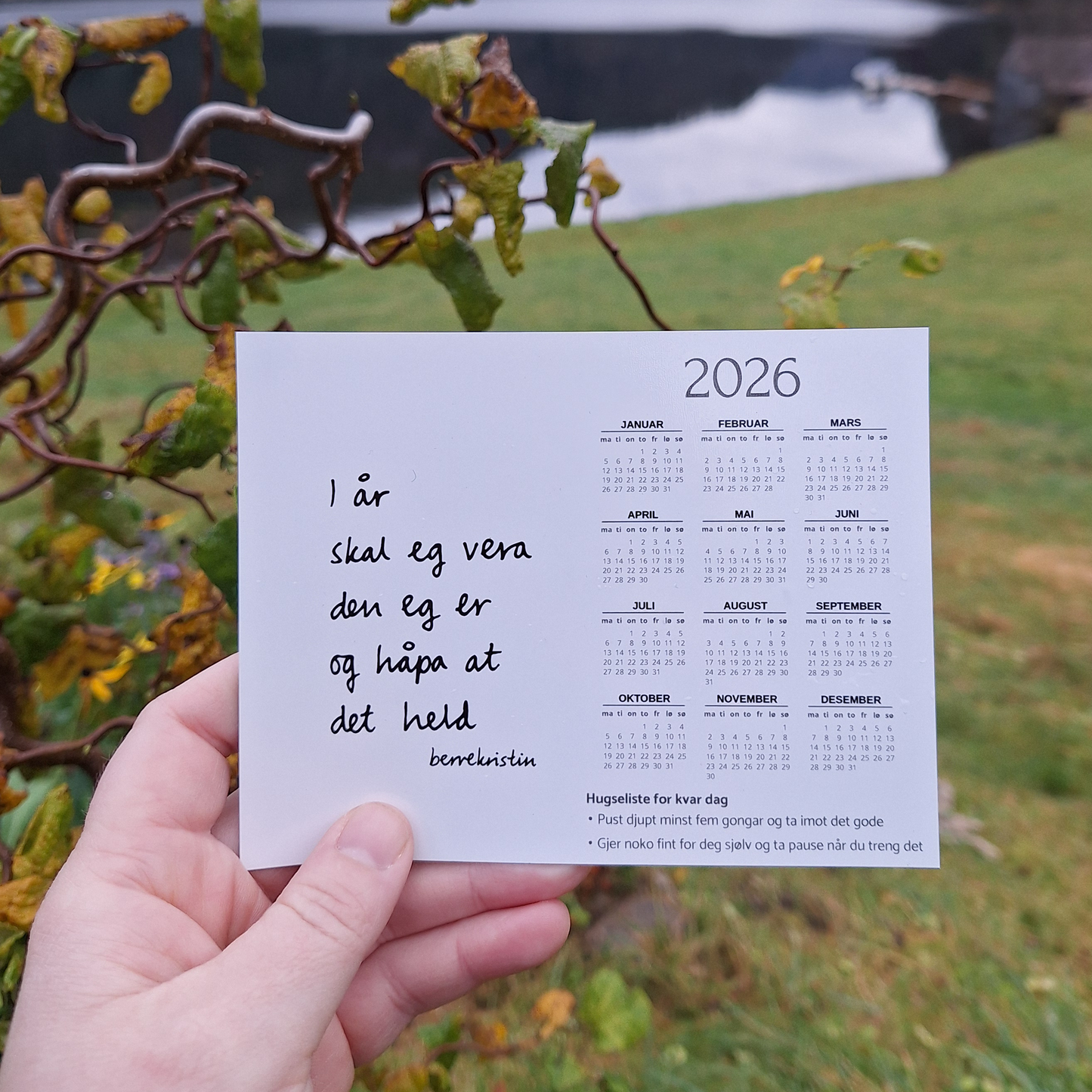 DIKTMAGNET | LITEN ÅRSKALENDER