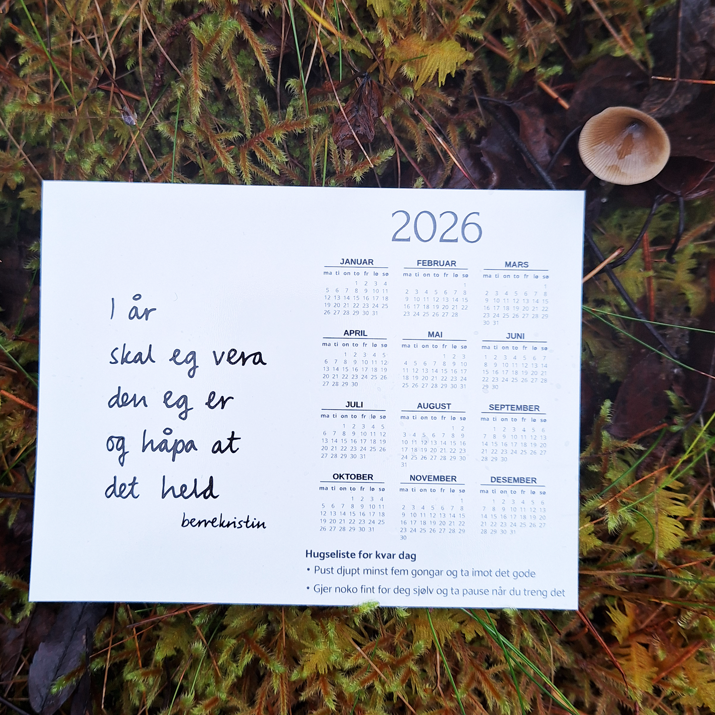 DIKTMAGNET | LITEN ÅRSKALENDER