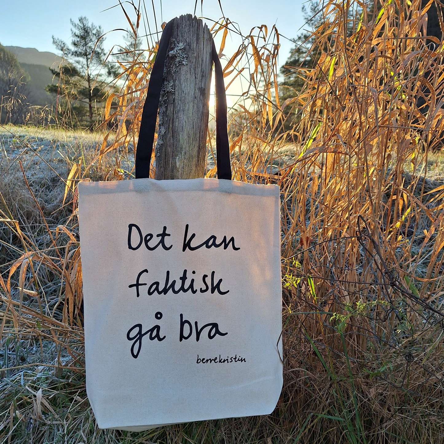 SAMLEPAKKE | TIL HÅP