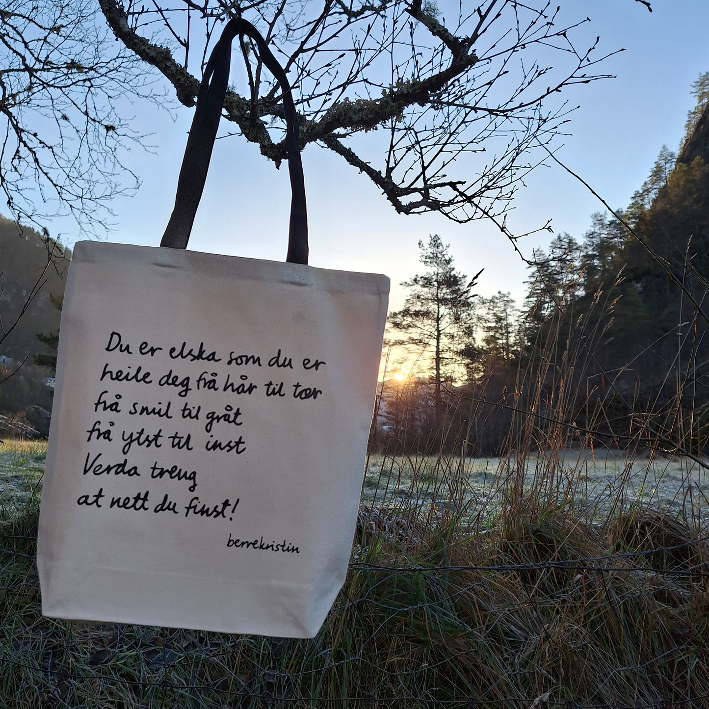 SAMLEPAKKE | TIL OPPMUNTRING