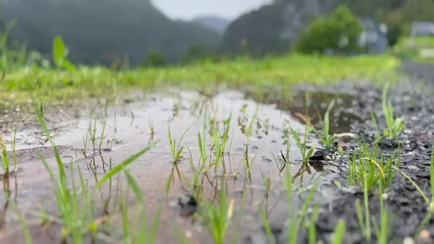 Last inn video: Videoen viser ei bok som ligg på ein stein ved fjorden. Diktboka er oppslått på diktet som lyder slik: Eg ler så befriande med deg, eg græt så nakent med deg, eg er så meg med deg. Eit vindkast blar vidare, til diktet  som er slik: Så blei det ikkje slik eg hadde tenkt. Men kanskje det blei slik det skulle vera?   I bakgrunnen er det bylgjeskvulp.